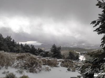 Rebollo de la Maleza; parque natural arribes del duero urdaibai reserva de la biosfera ercavica cami